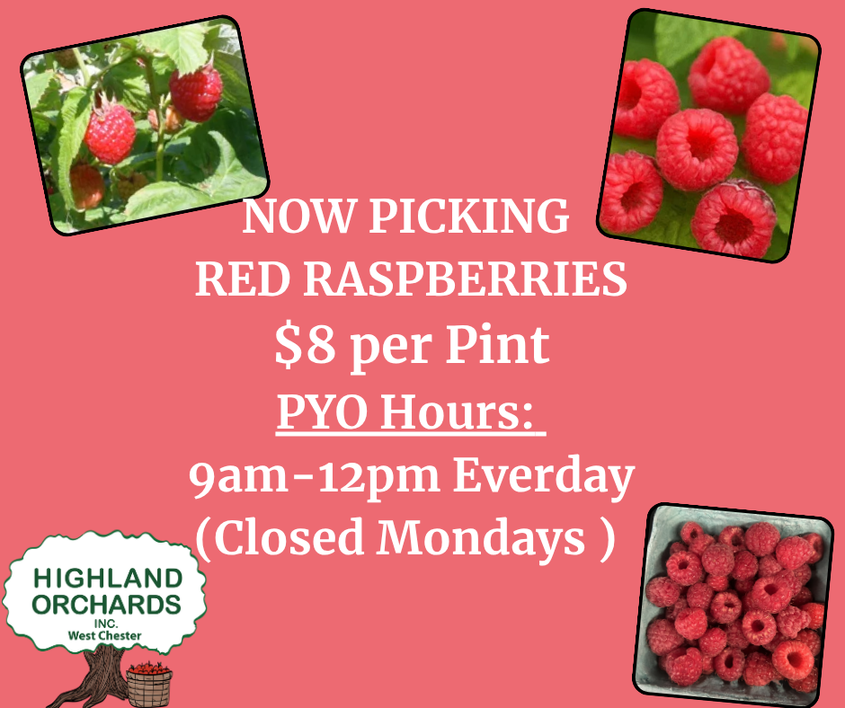 pyo-red-raspberry pyo-red-raspberry