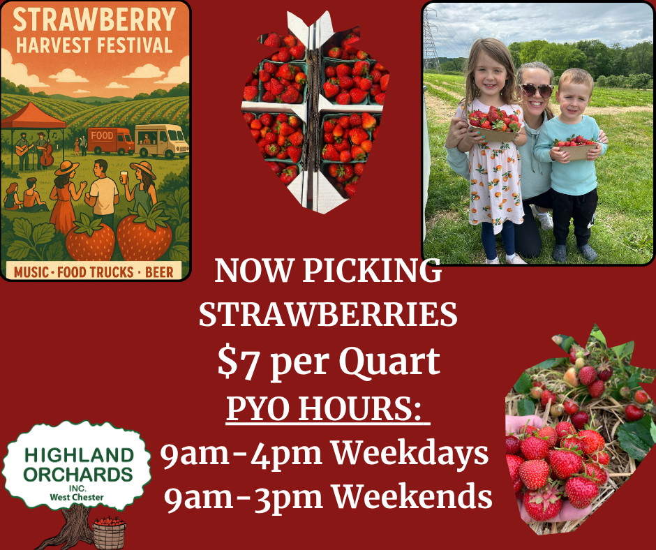 pyo-strawberry- pyo-strawberry-