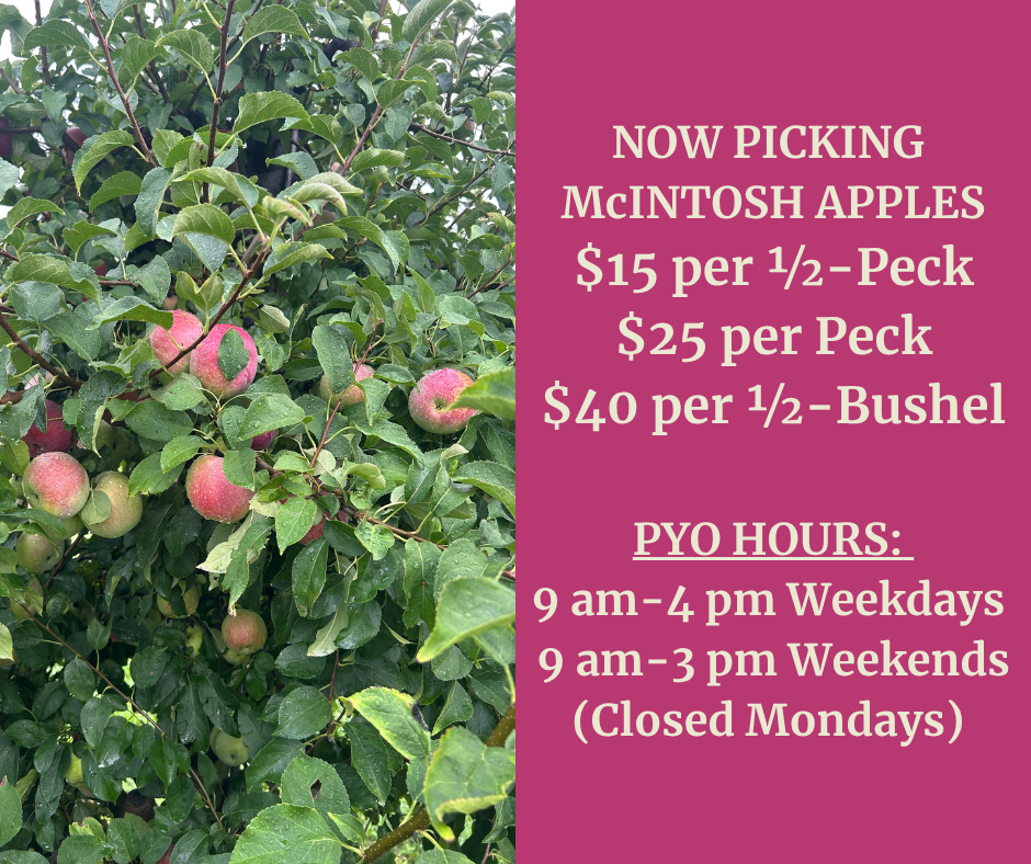 pyo-mcintosh pyo-mcintosh